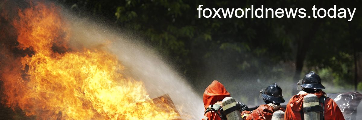 foxworldnews.today